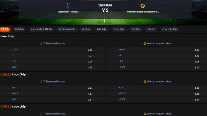Aston Villa vs Fulham